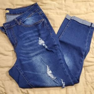 Raw-7 Brand Distressed Jeans